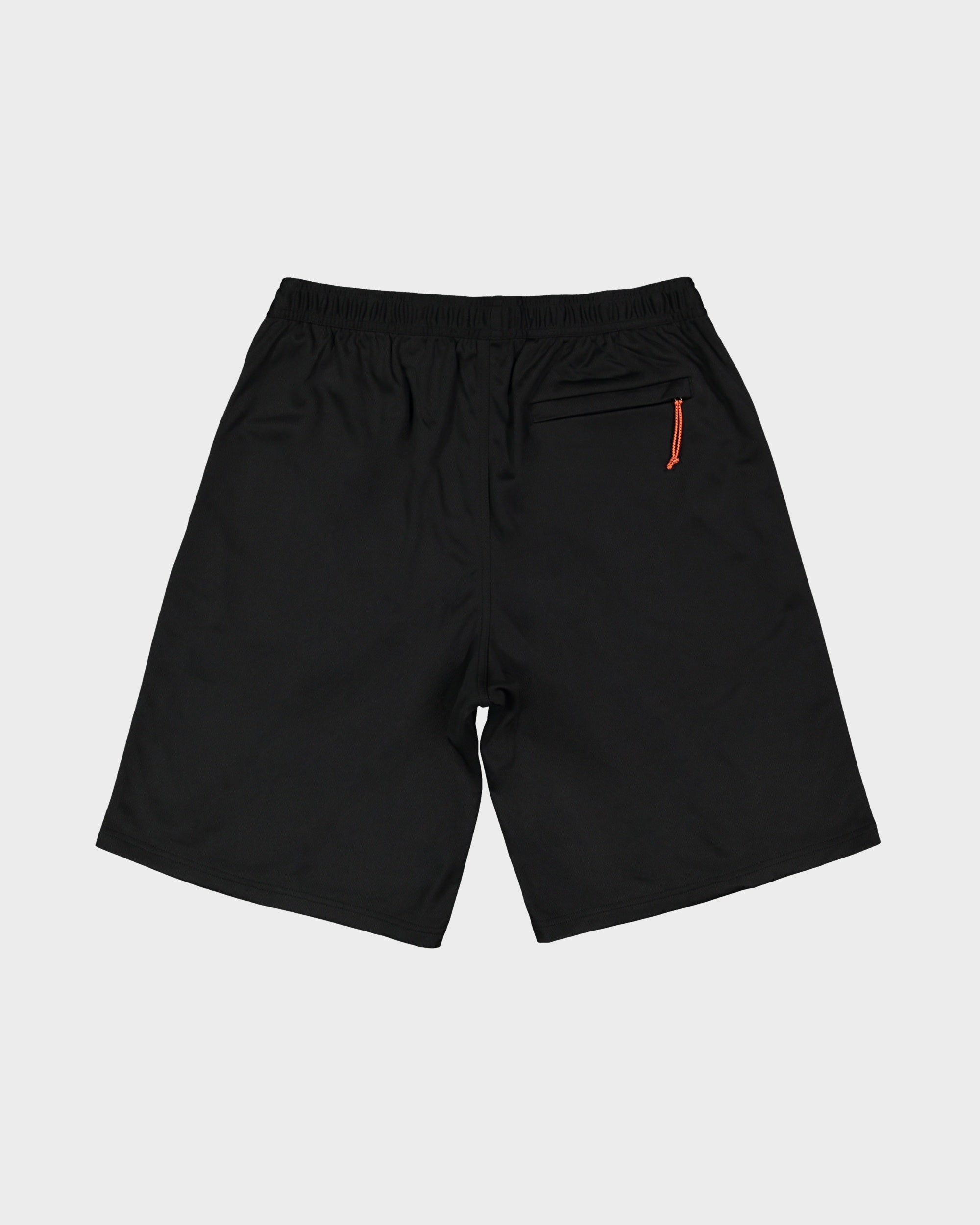 Mens Spec 73 Mesh 20" Shorts