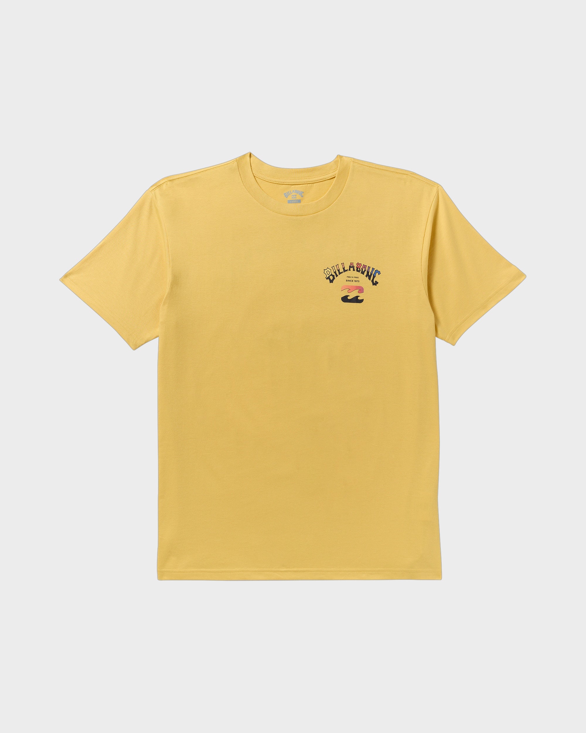 Mens Arch Fade T-Shirt