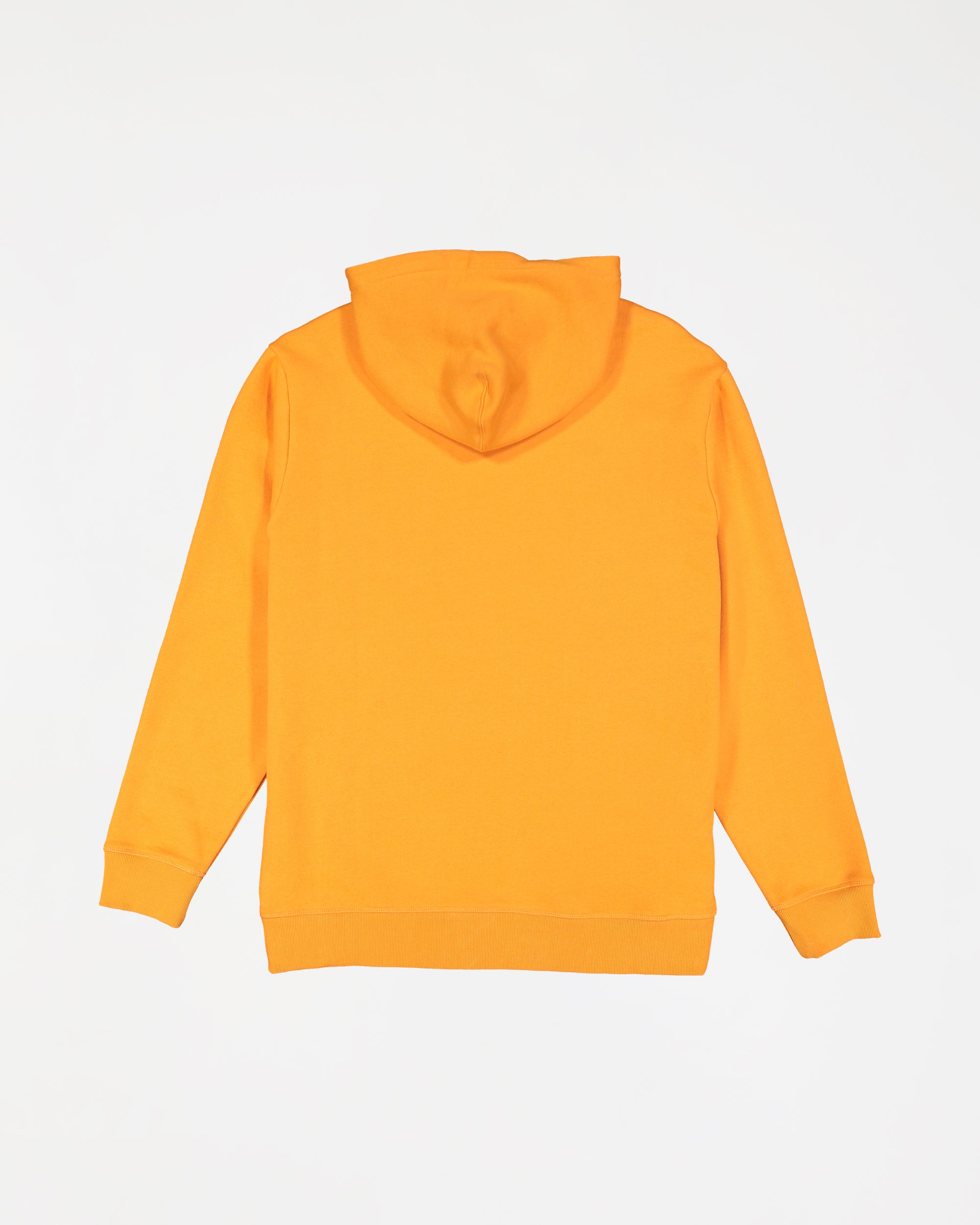 Mens Spec Bio Arch Pullover Hoodie