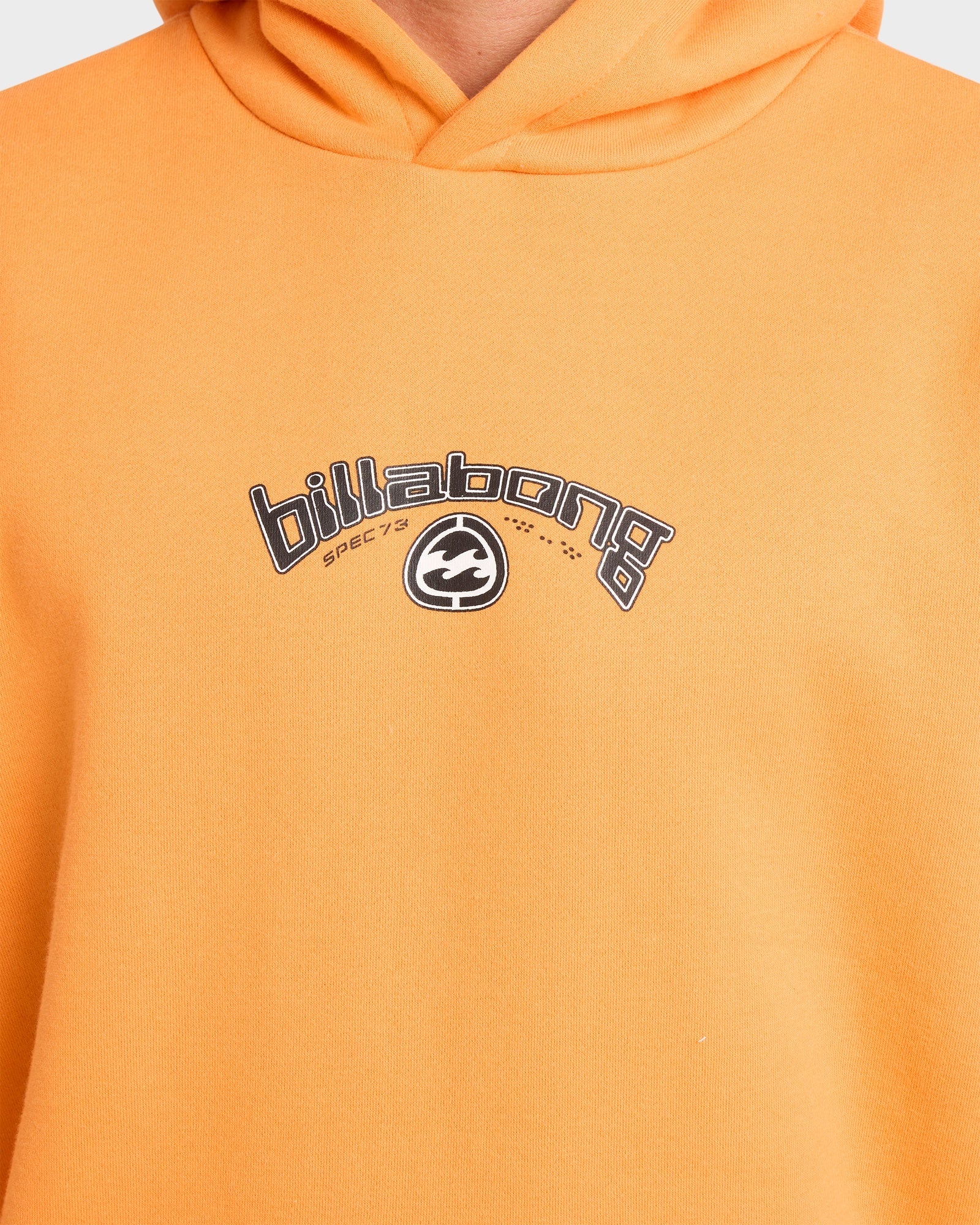 Mens Spec Bio Arch Pullover Hoodie