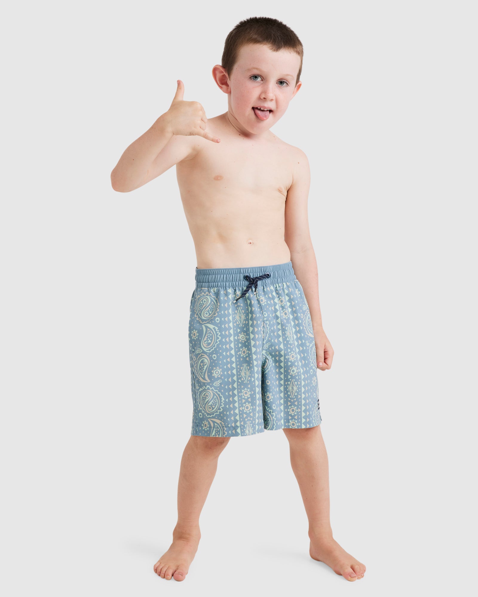 Boys 2-7 Good Times Layback Boardshorts