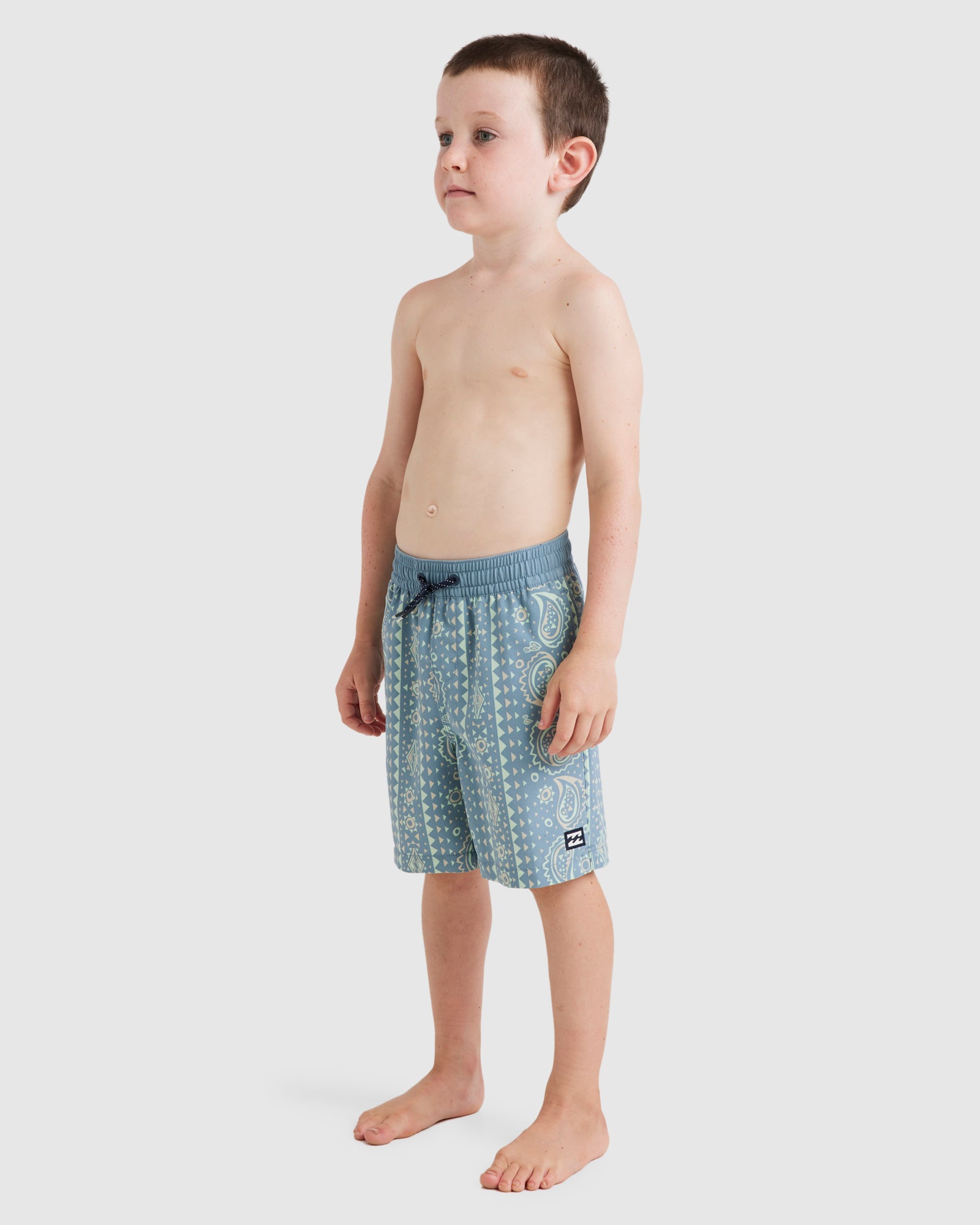 Boys 2-7 Good Times Layback Boardshorts