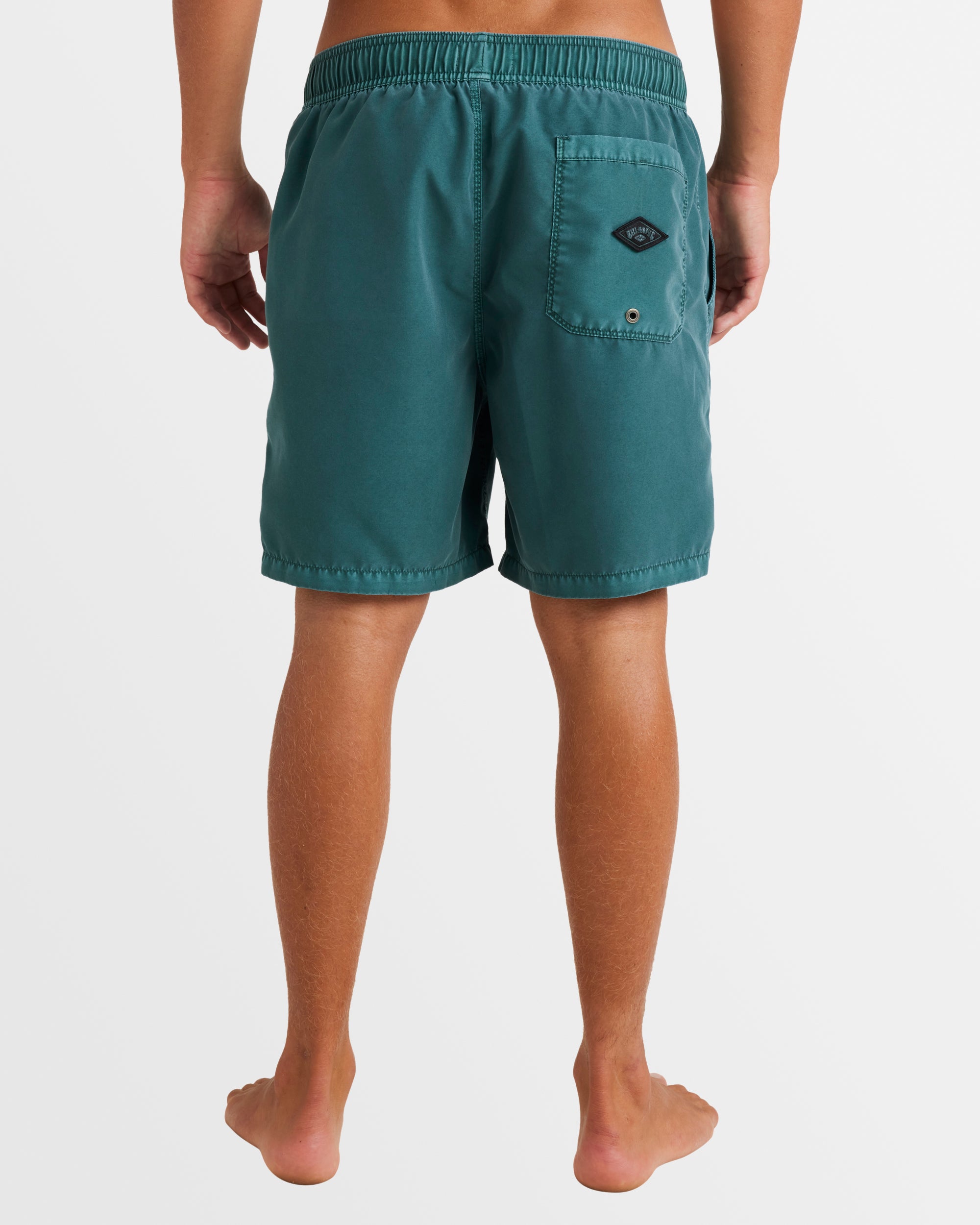 Mens All Day Overdye Layback 17" Boardshorts