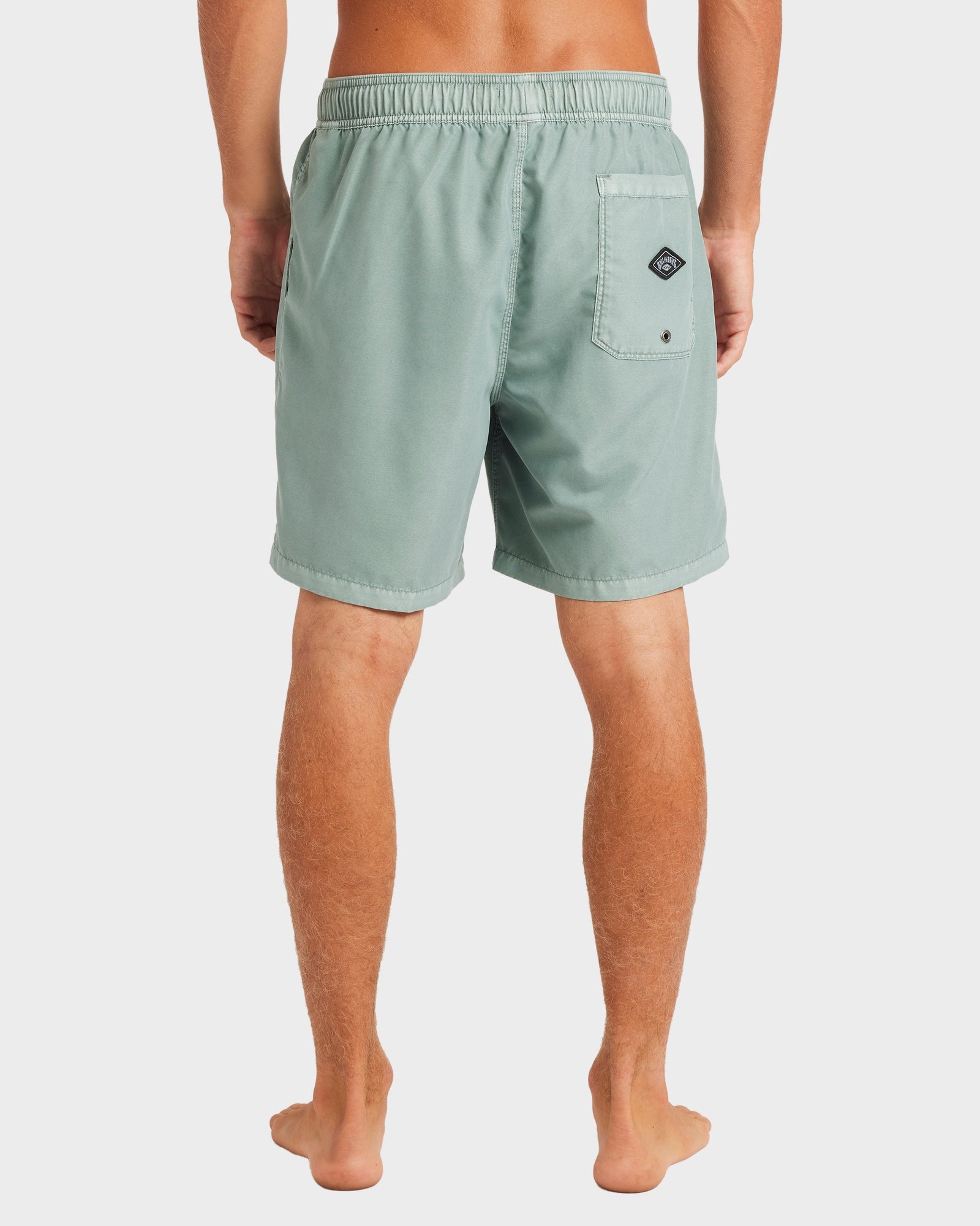 Mens All Day Overdye Layback 17" Boardshorts