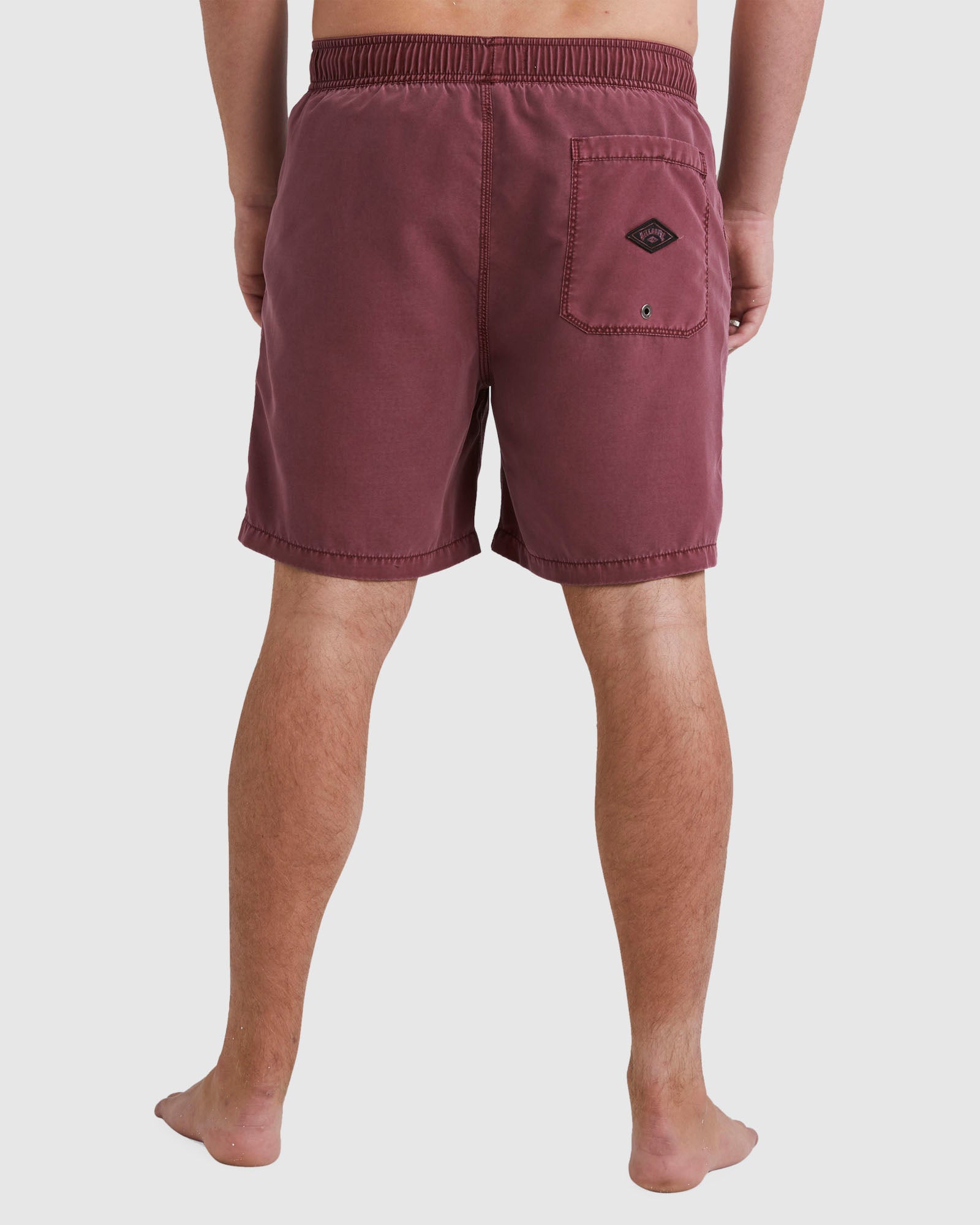 Mens All Day Overdye Layback 17" Boardshorts