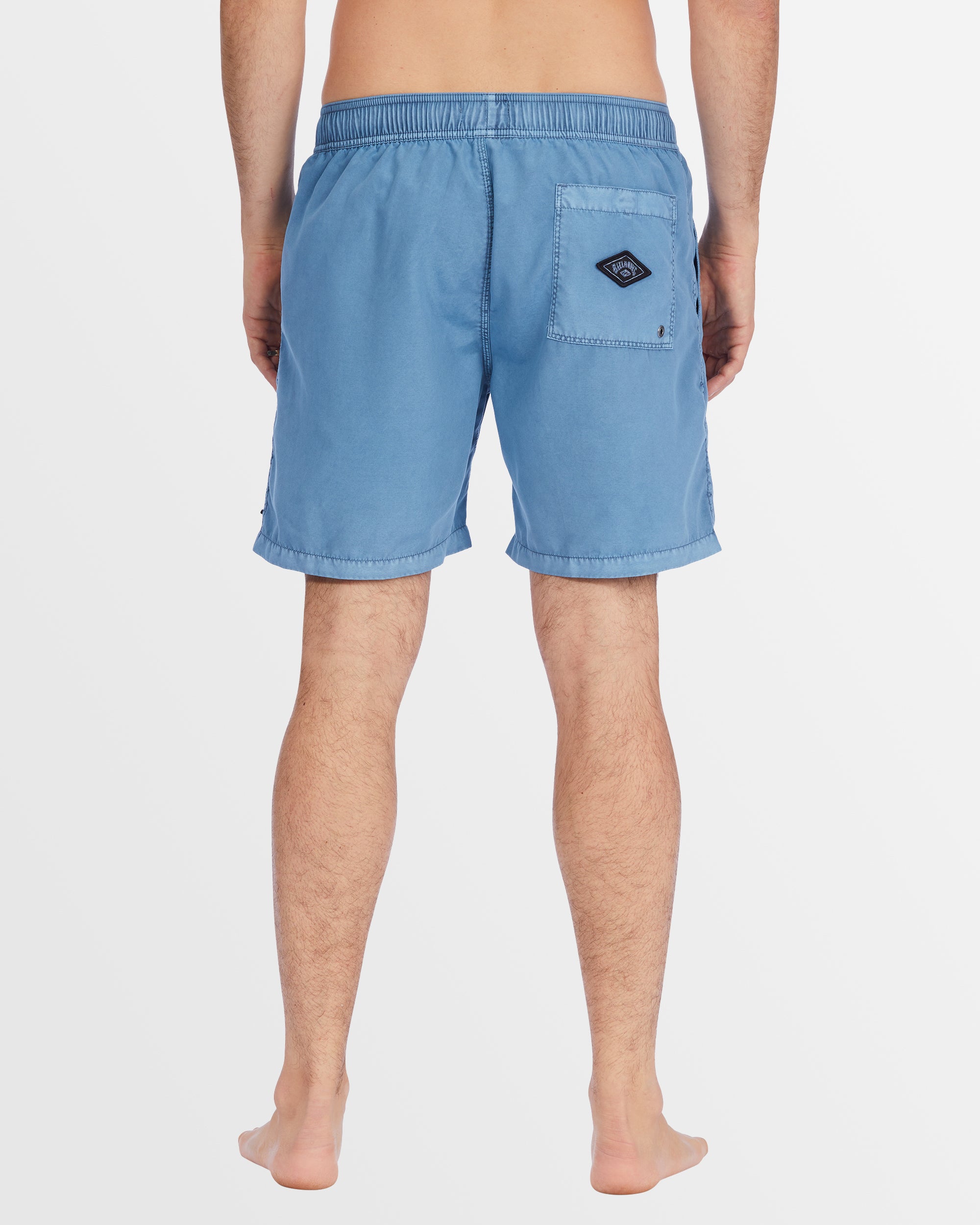 Mens All Day Overdye Layback 17" Boardshorts