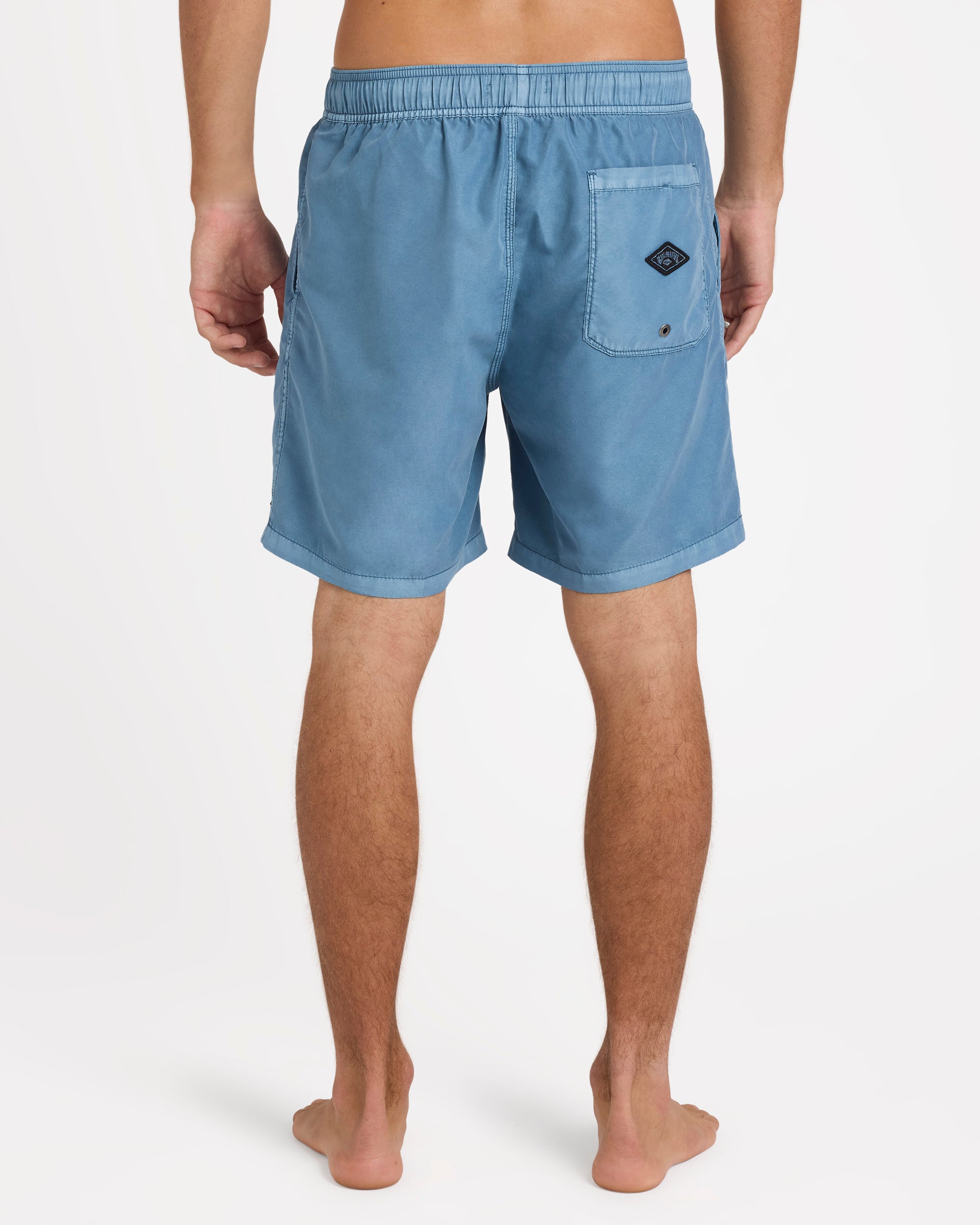 Mens All Day Overdye Layback 17" Boardshorts