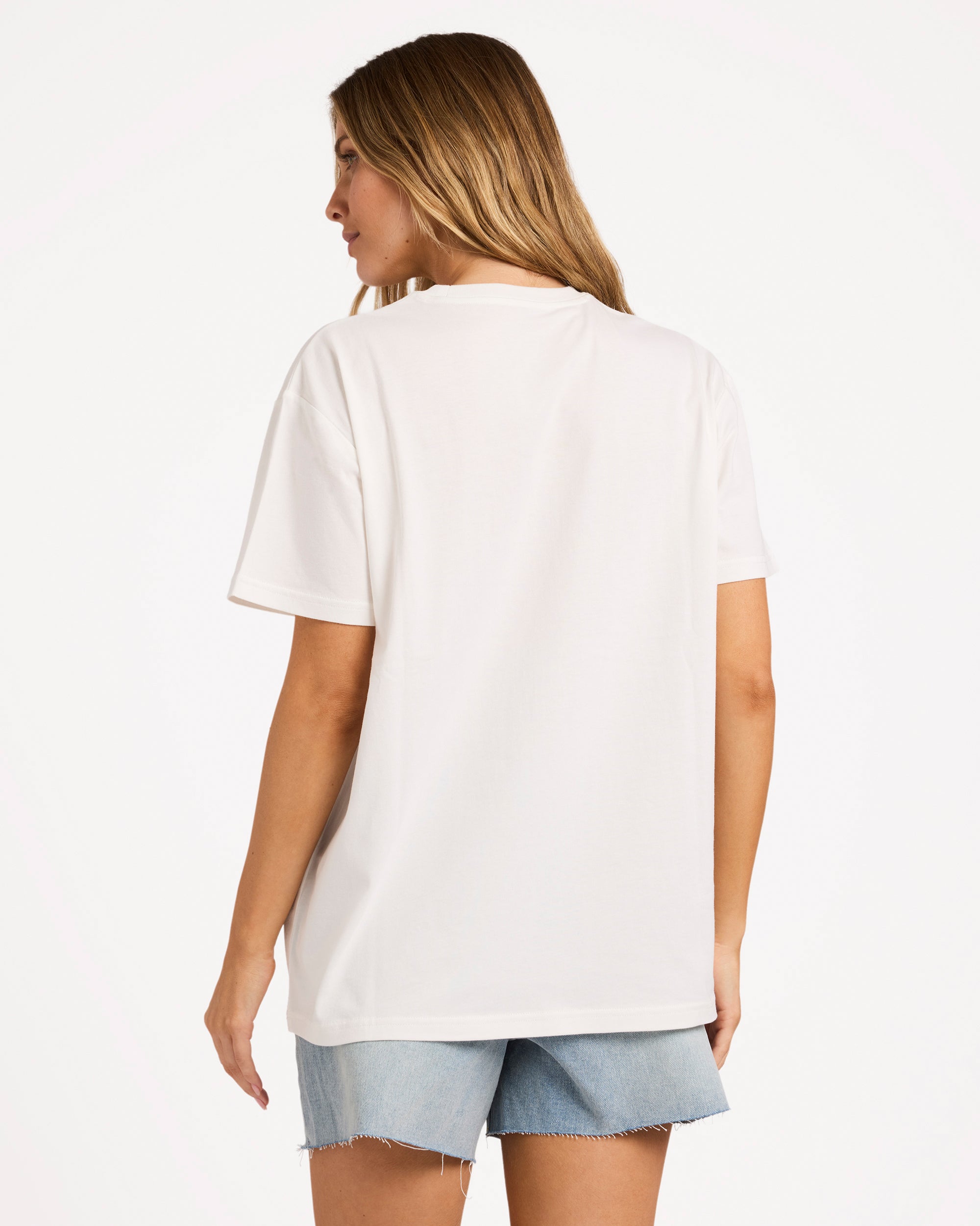 ubjzt00556_billabong_scs_bck1