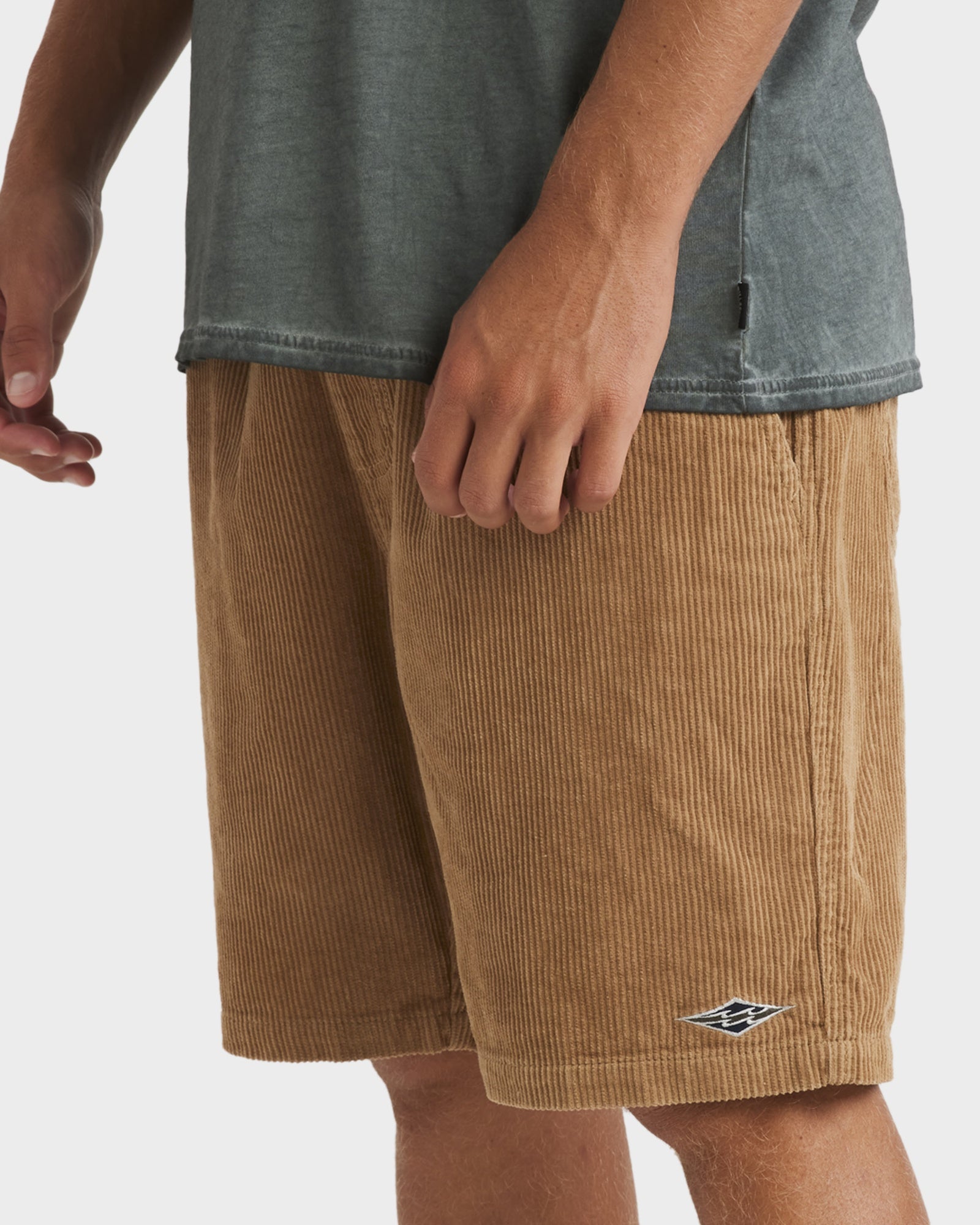 Mens Larry Corduroy 18" Walkshorts