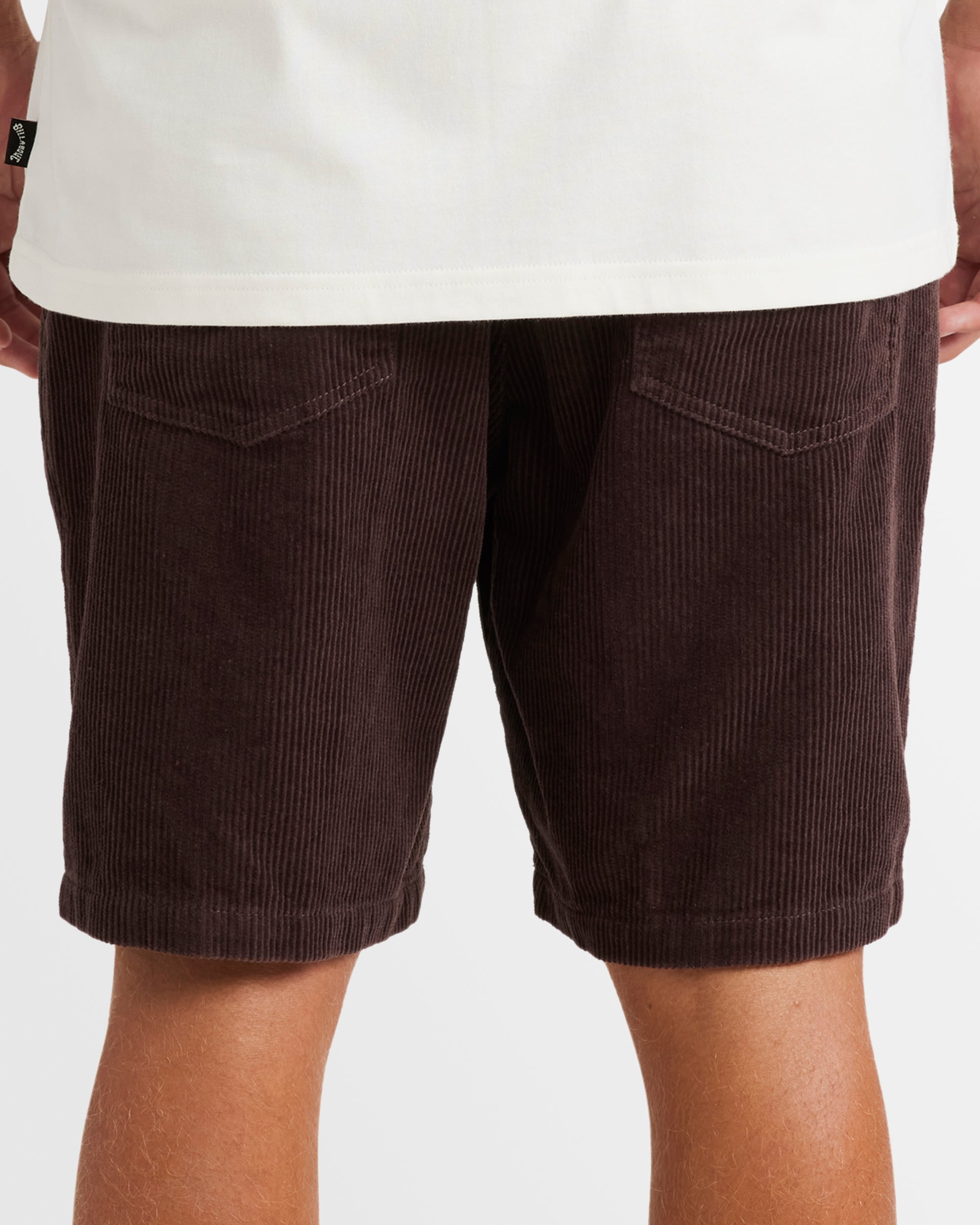 Mens Larry Corduroy 18" Walkshorts