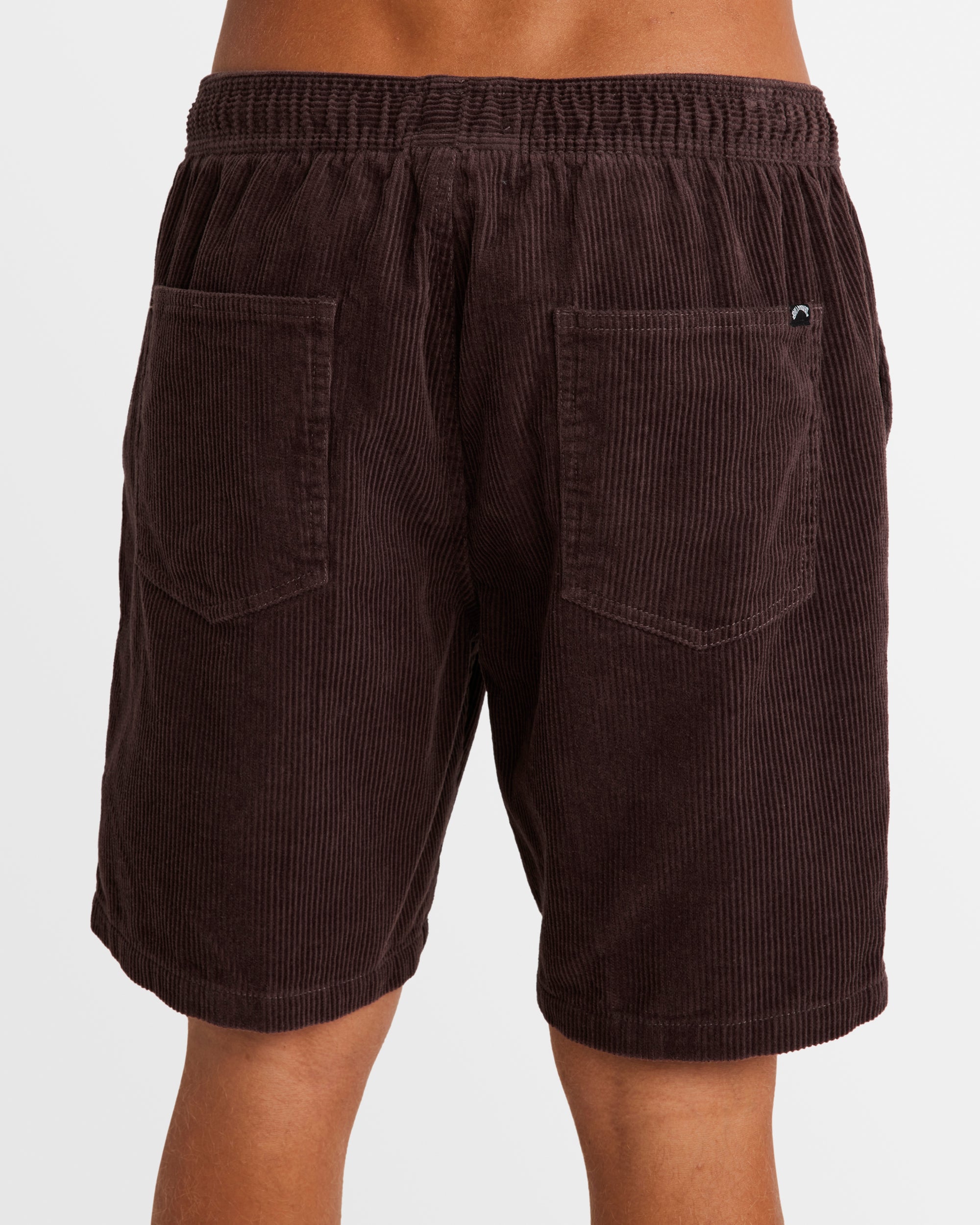 Mens Larry Corduroy 18" Walkshorts