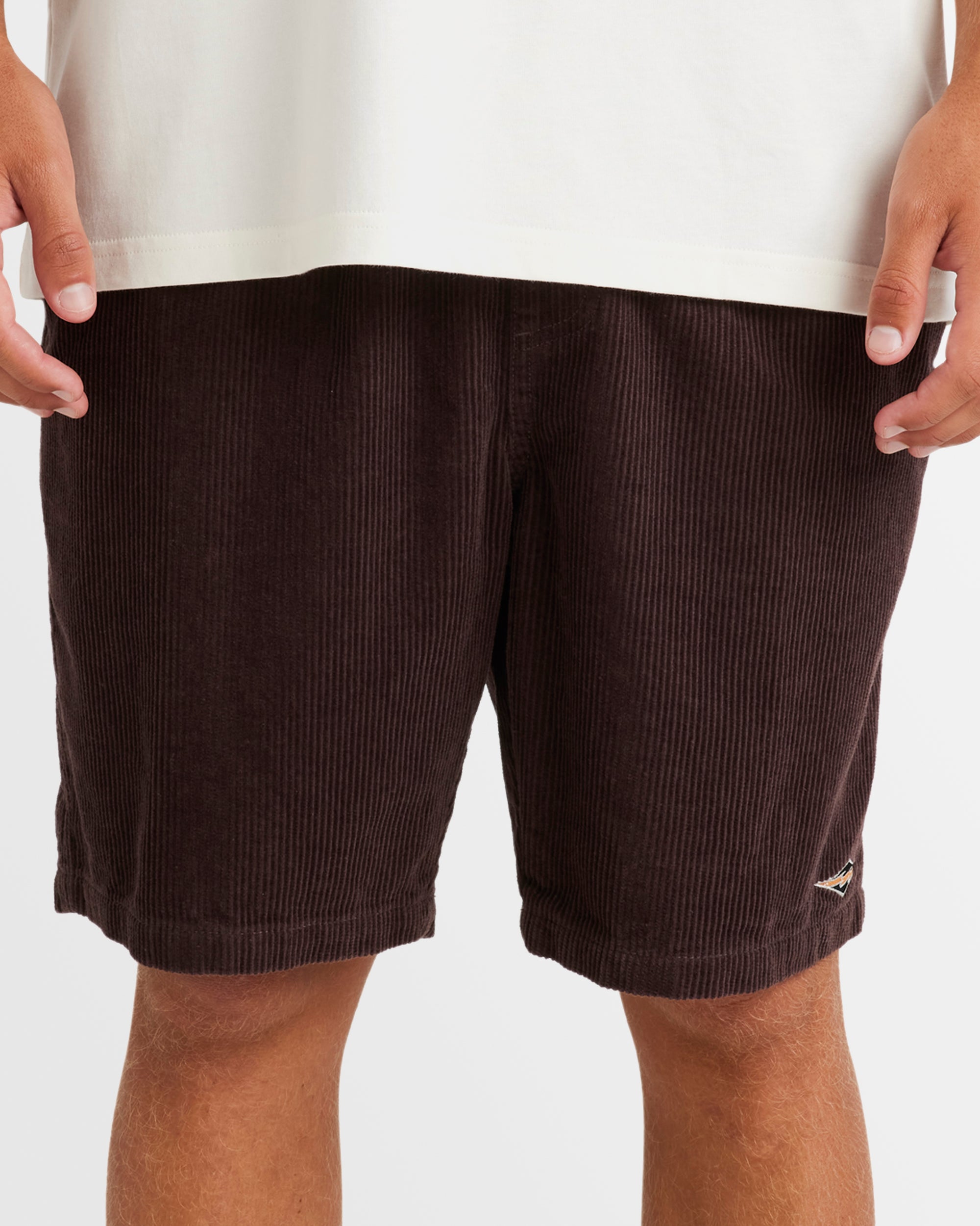 Mens Larry Corduroy 18" Walkshorts