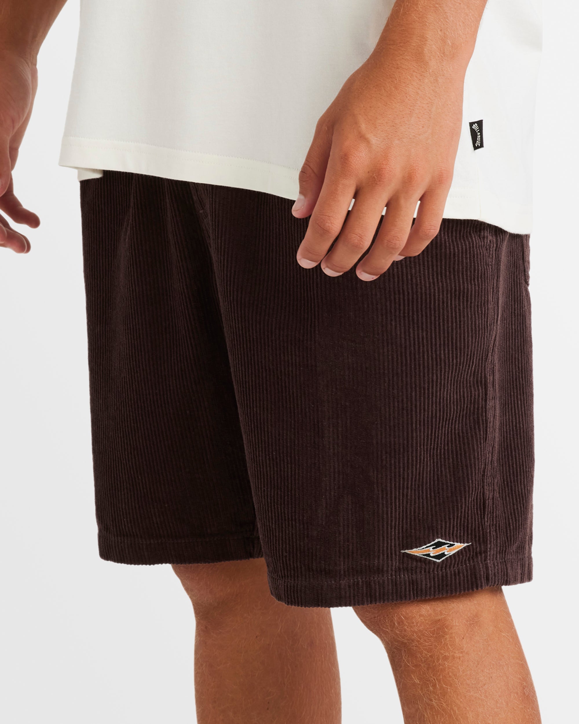 Mens Larry Corduroy 18" Walkshorts