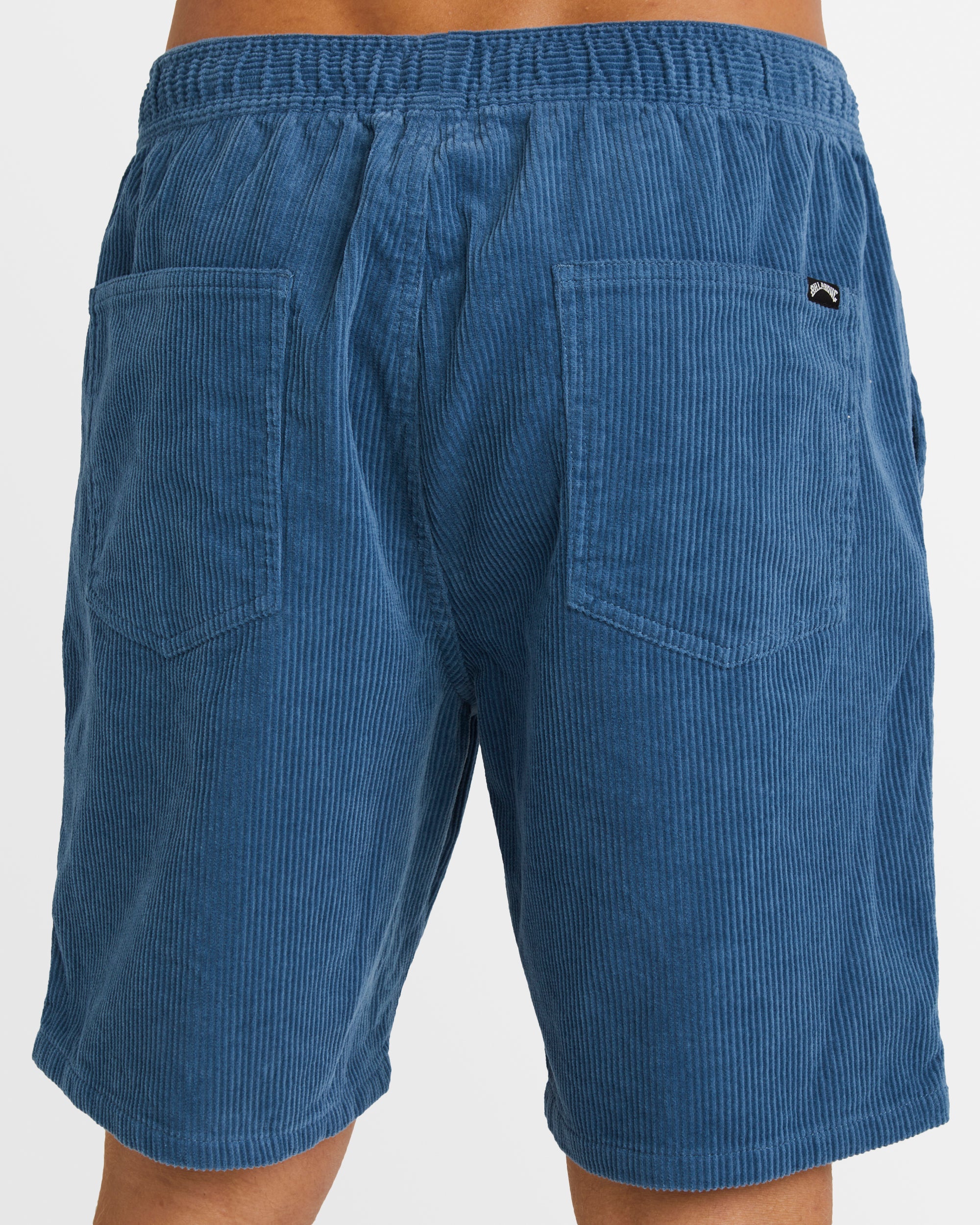 Mens Larry Corduroy 18" Walkshorts
