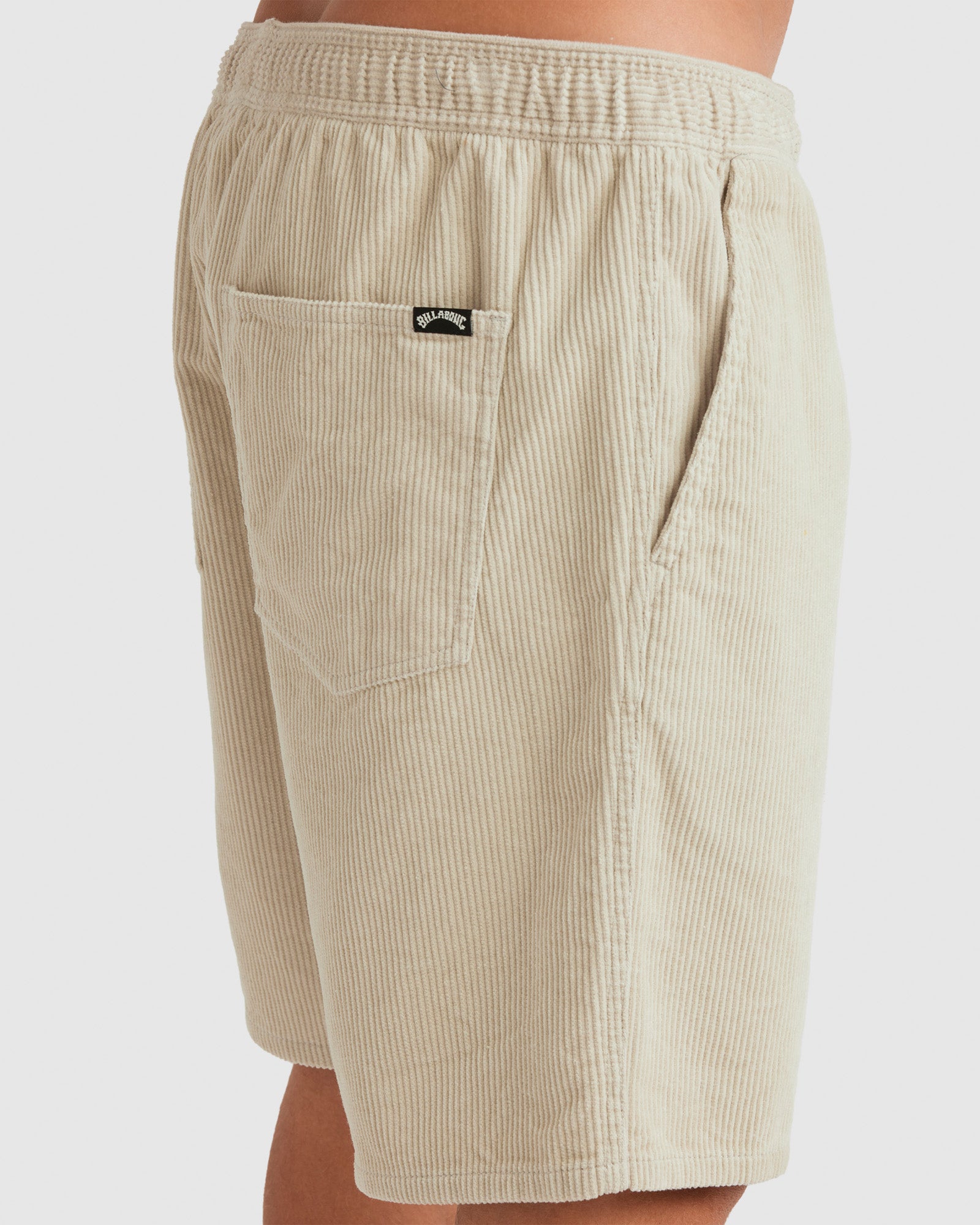 Mens Larry Corduroy 18" WalkShorts