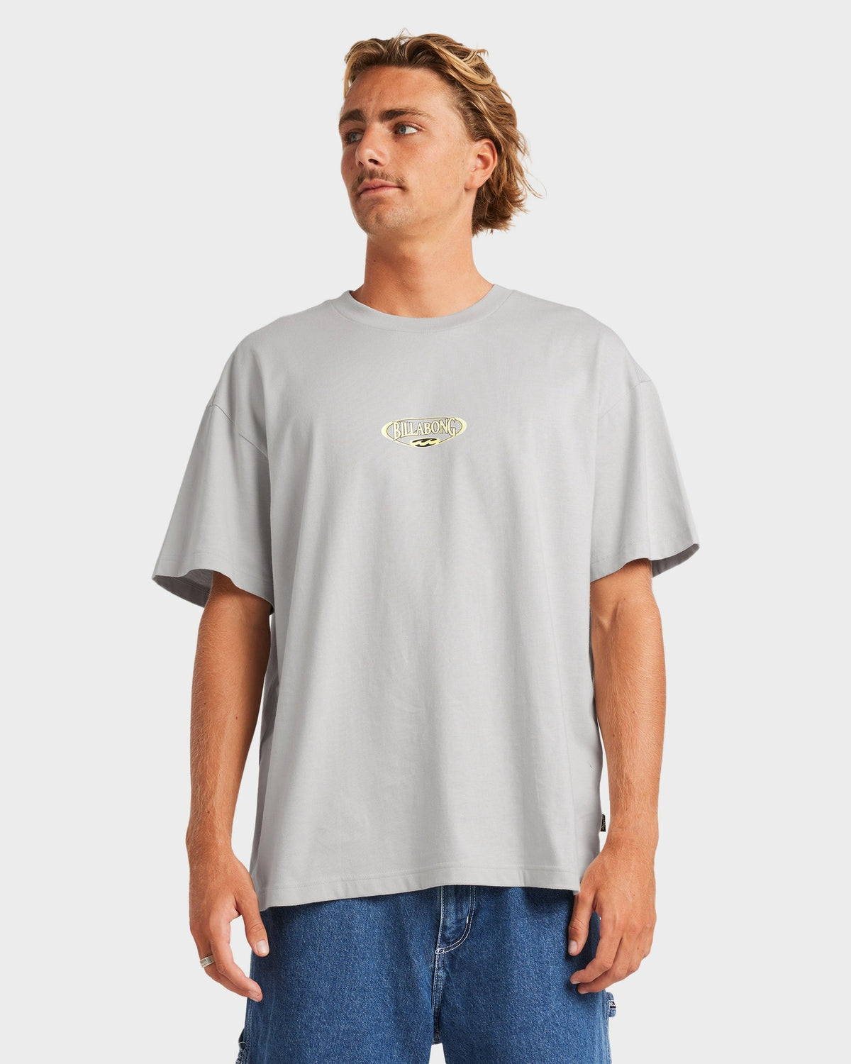 Mens Bad Dog OG T-Shirt – Silver – Billabong NZ