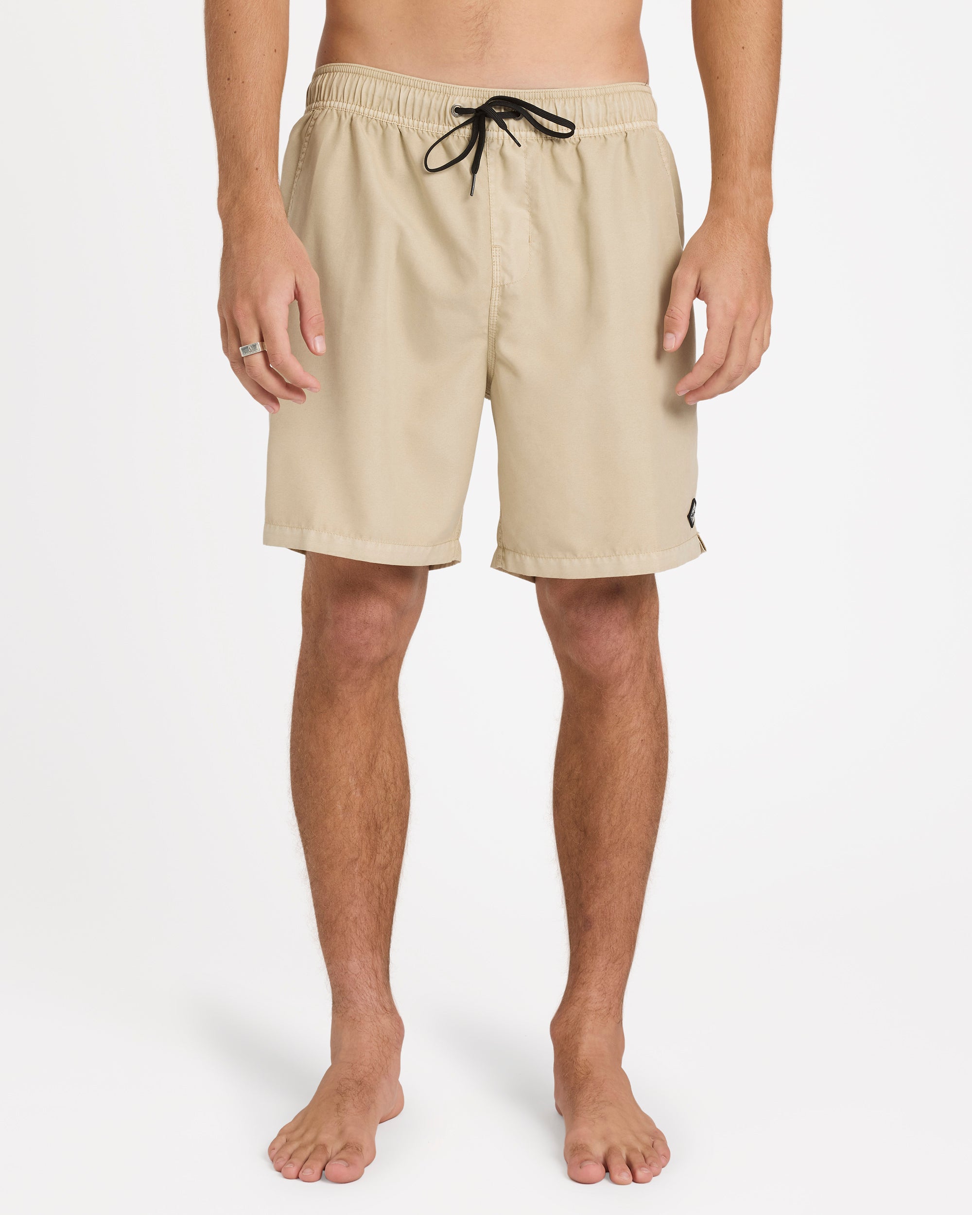 Mens All Day Overdye Layback 17" Boardshorts