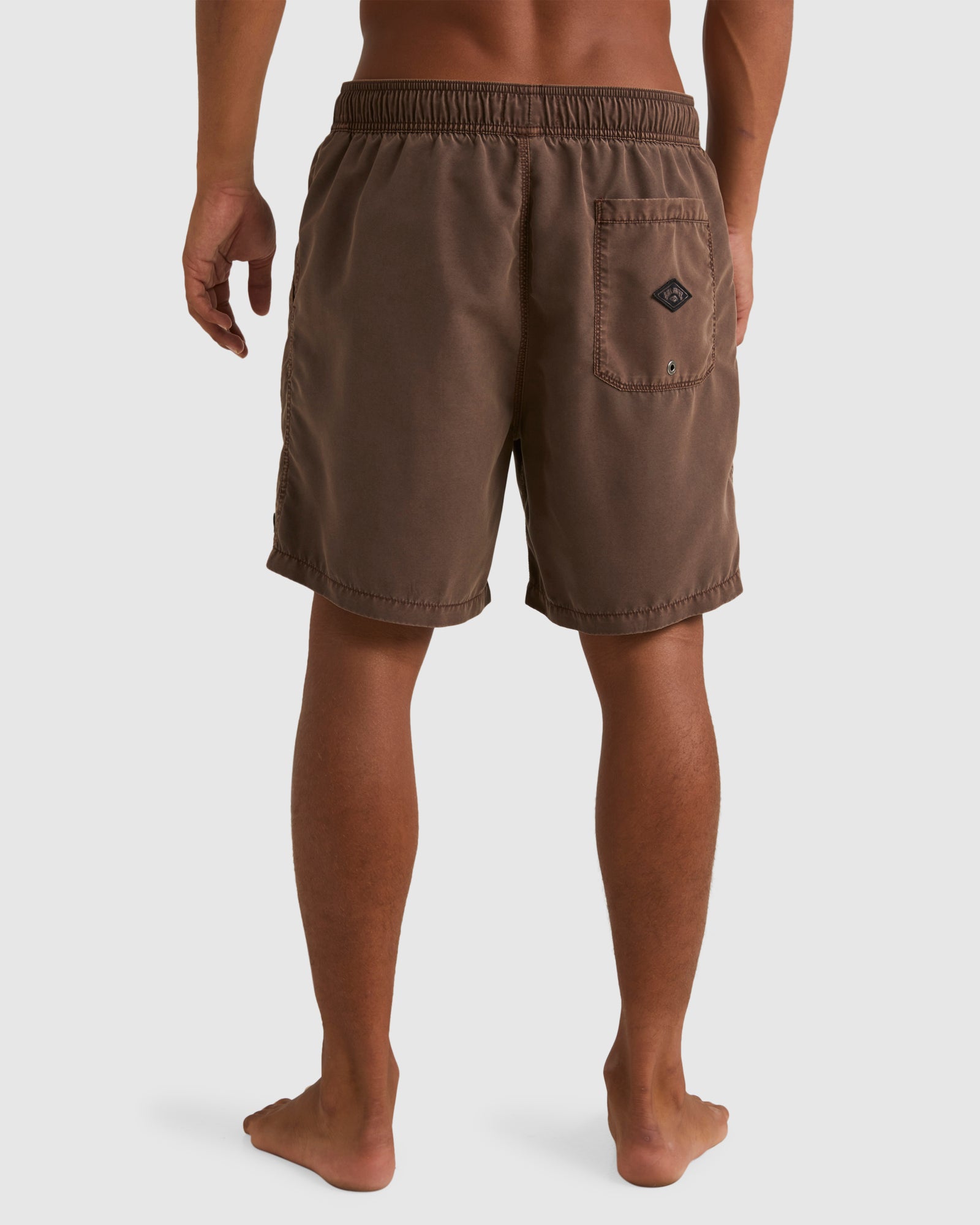 Mens All Day Overdye Layback 17" Boardshorts