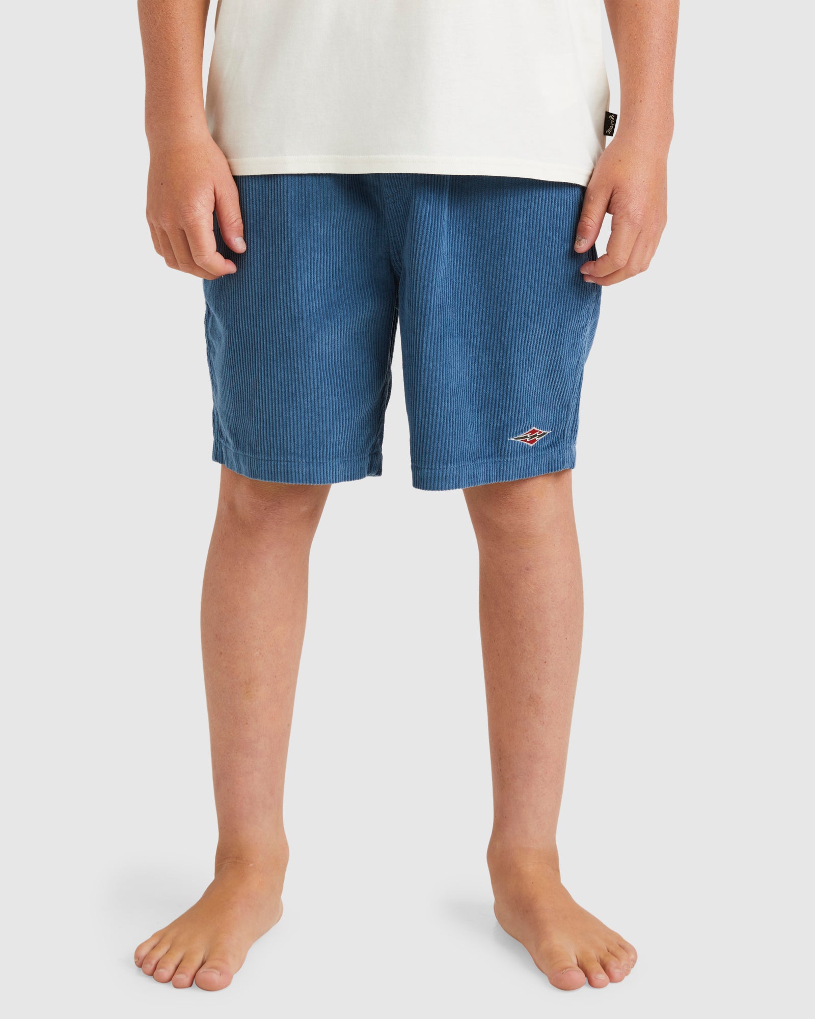 Boys 8-16 Larry Corduroy Shorts